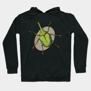 Coleoptera insect illustration 2 Hoodie